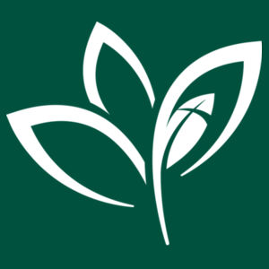 GBC - Snapback Trucker Cap Design